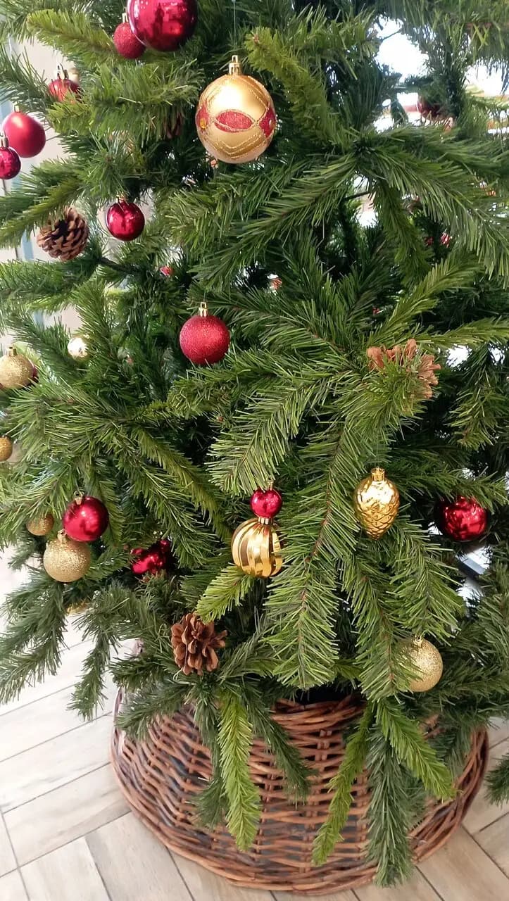 Русский Лес