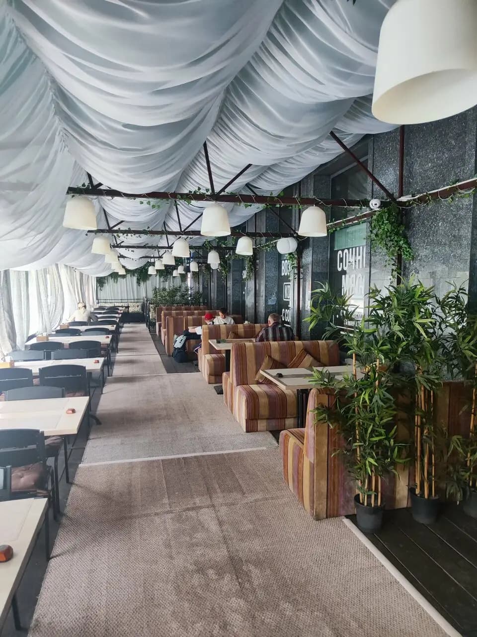 Кинза и мята