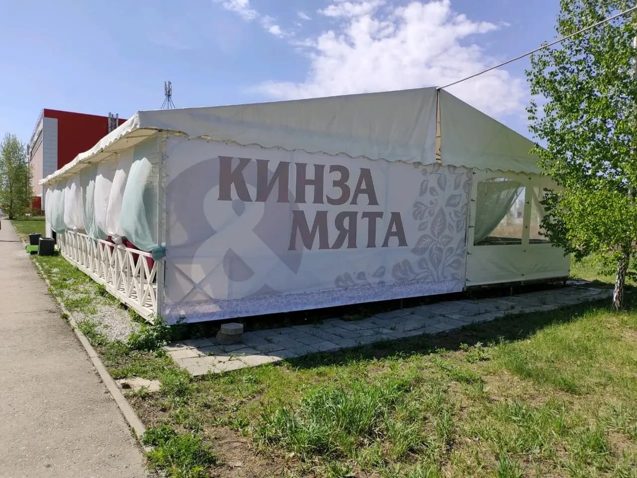 Кинза и мята