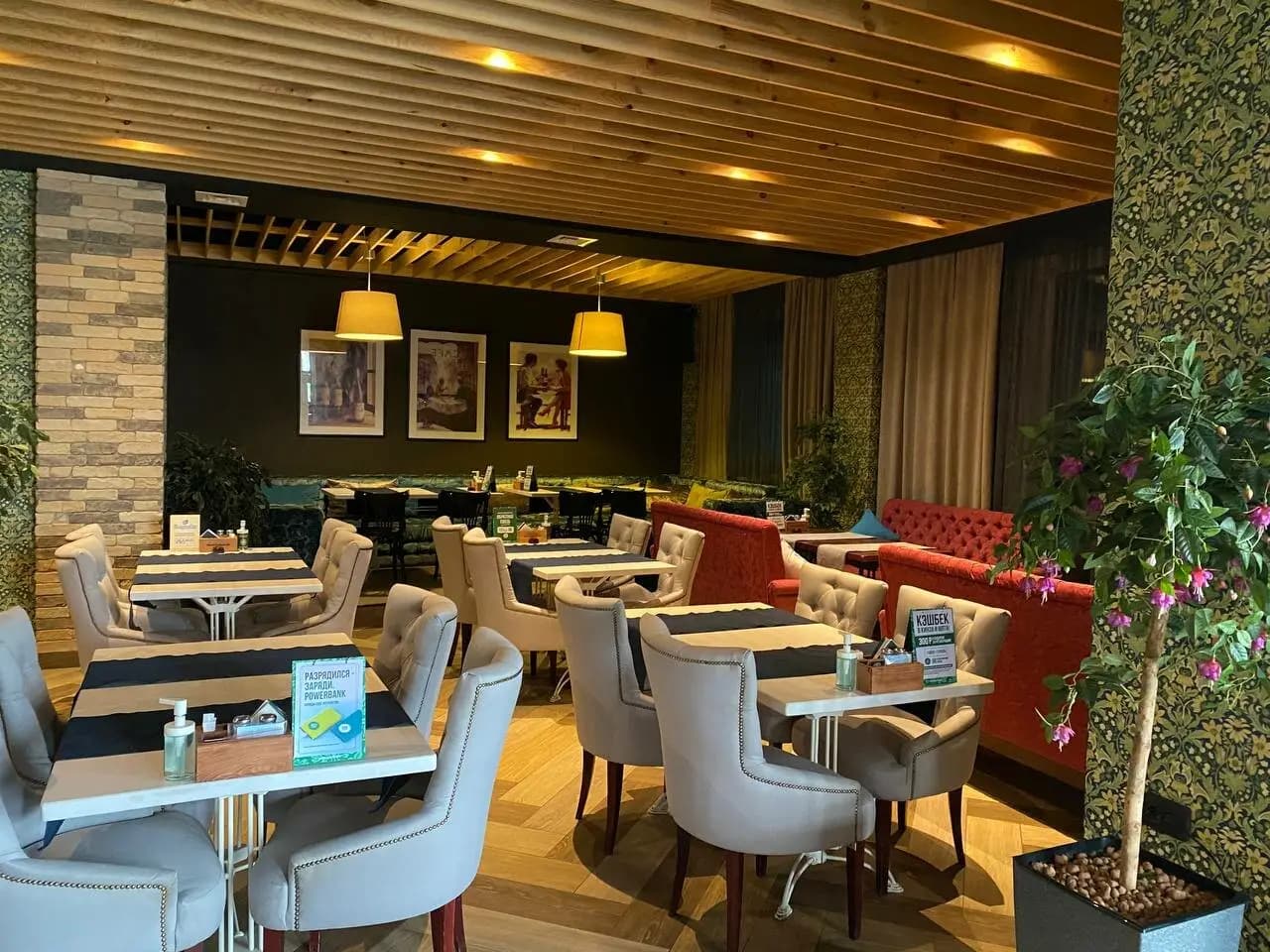 Кинза и мята