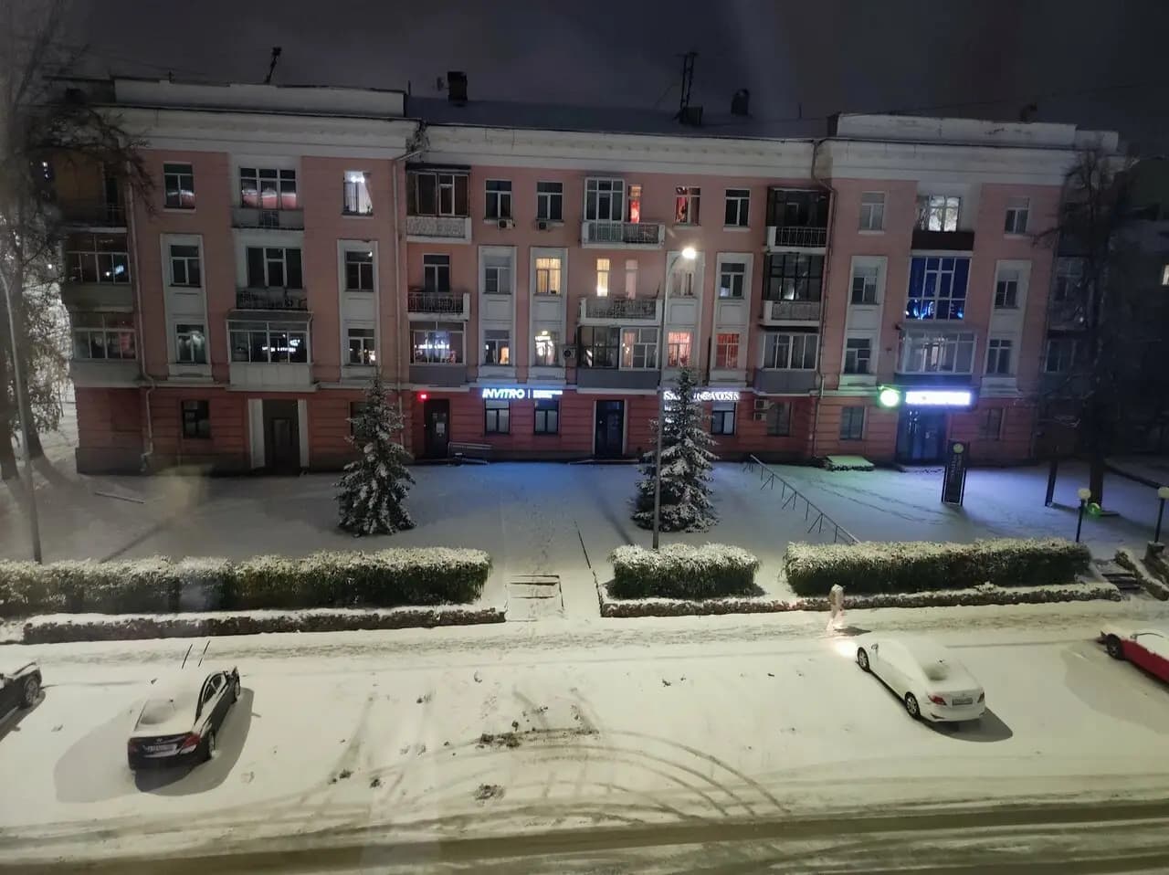 Трепет и томаты