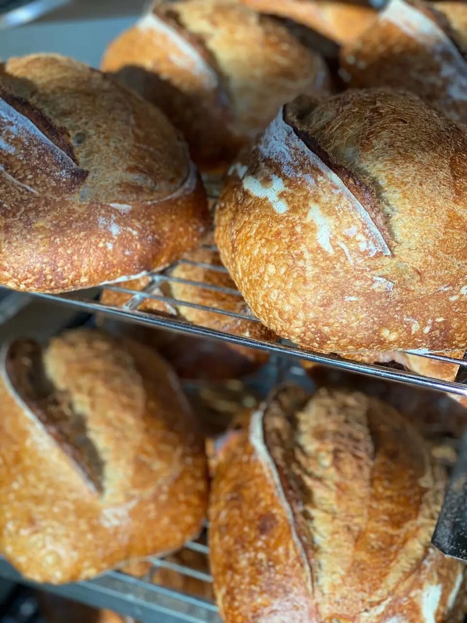 Тутто иль Пане