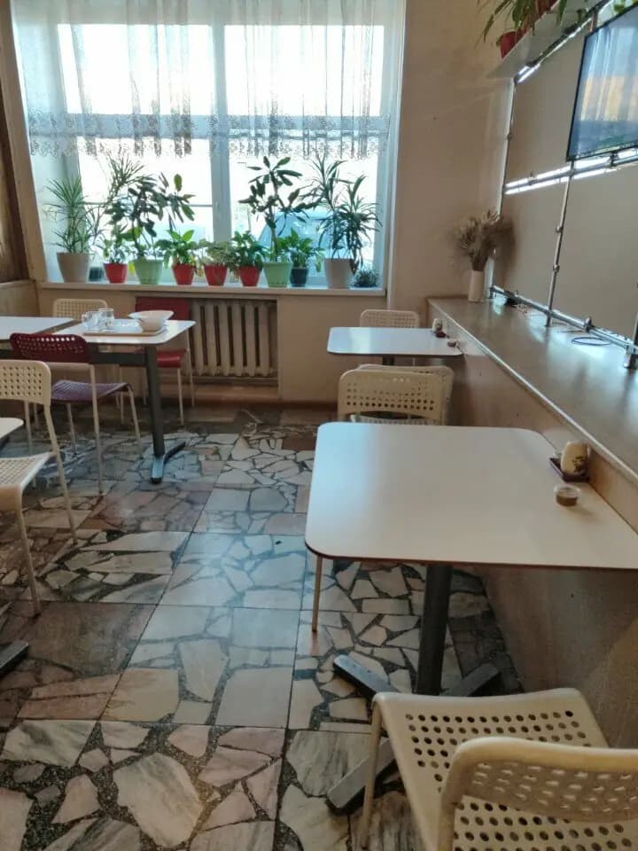 Весёлый тюлень