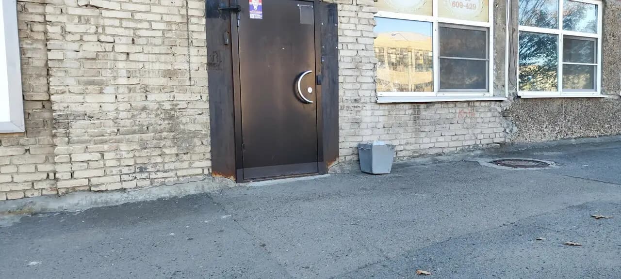 Весёлый тюлень