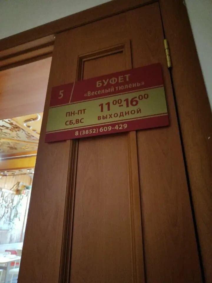 Весёлый тюлень