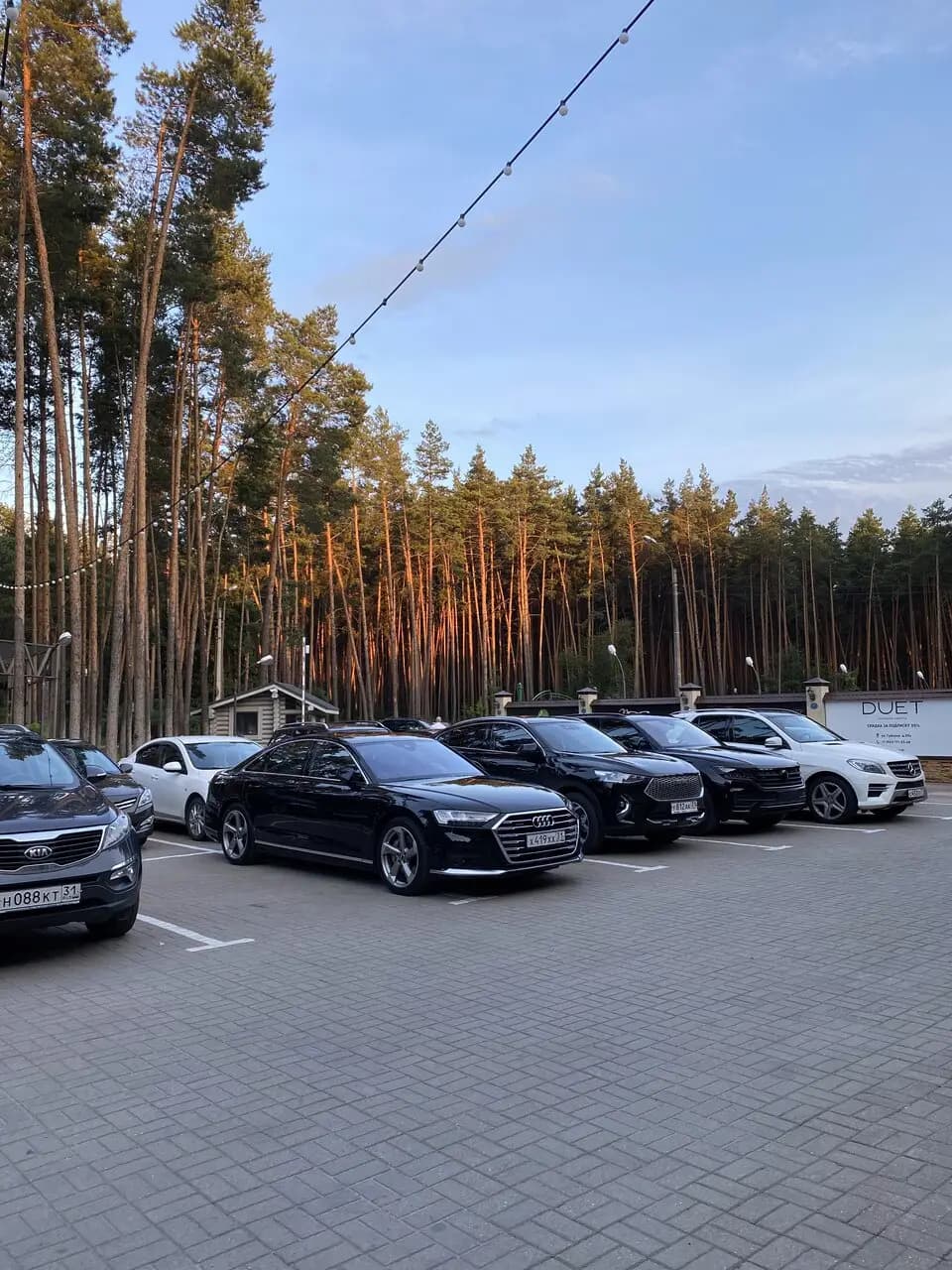 Сосновка Лофт