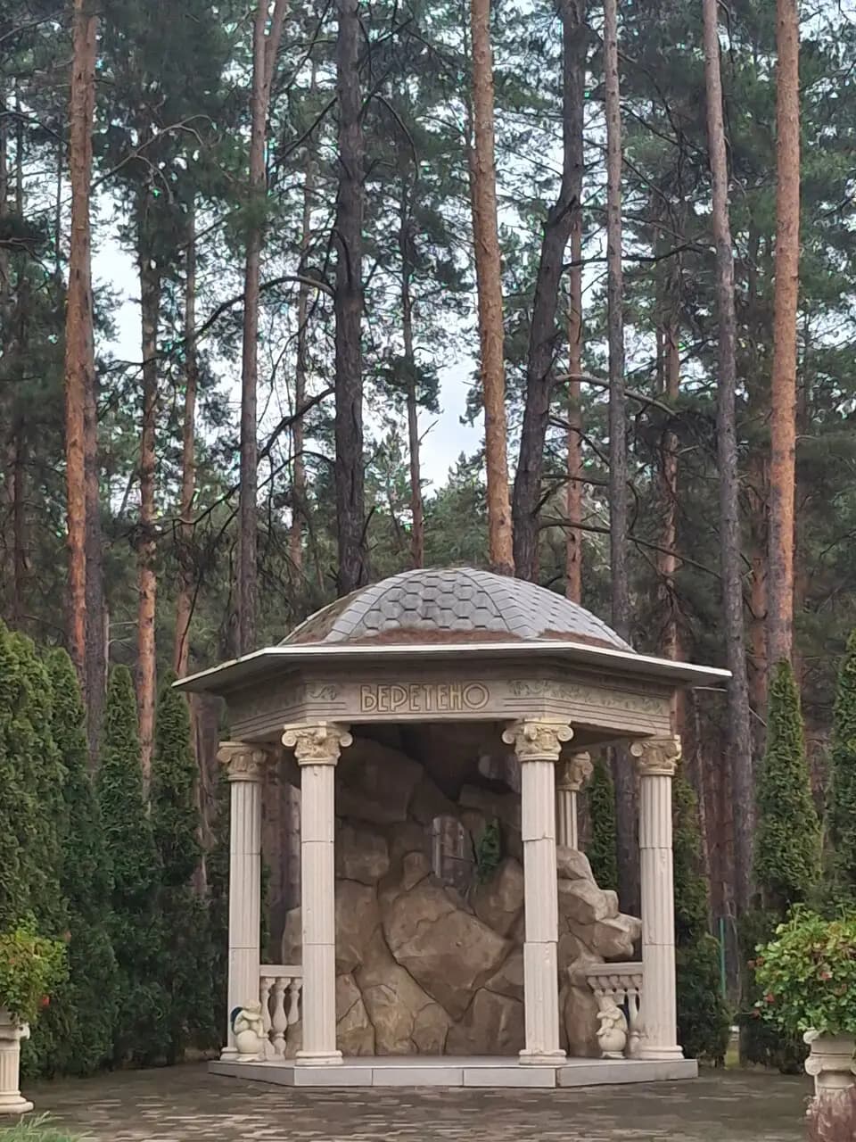 Сосновка Лофт