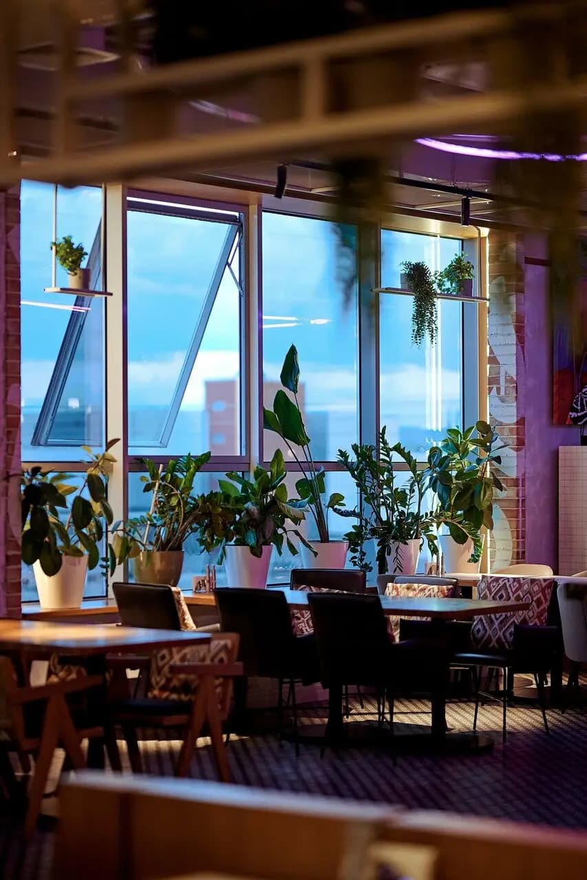 Гастробар 360°