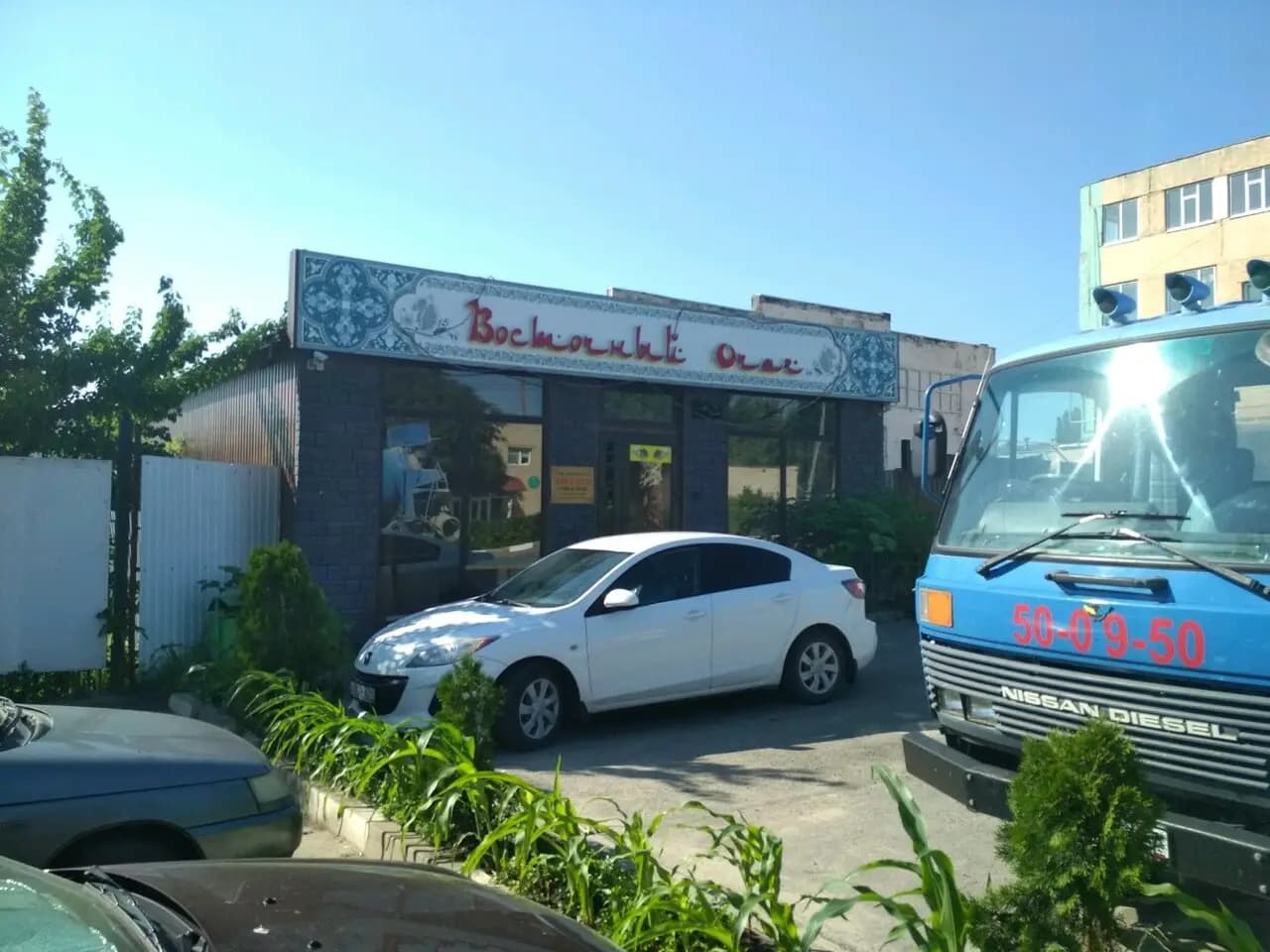 Восточный очаг