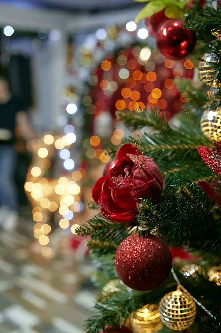 Пивная Бухта