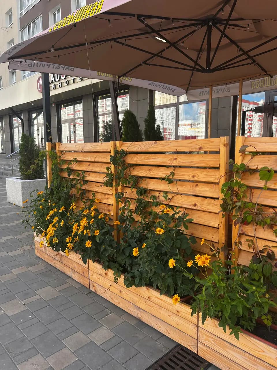 Рёбрышная 2