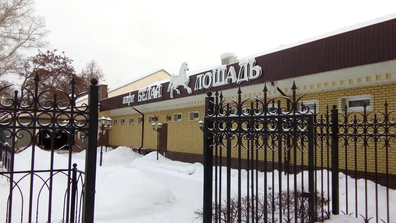 Белая лошадь