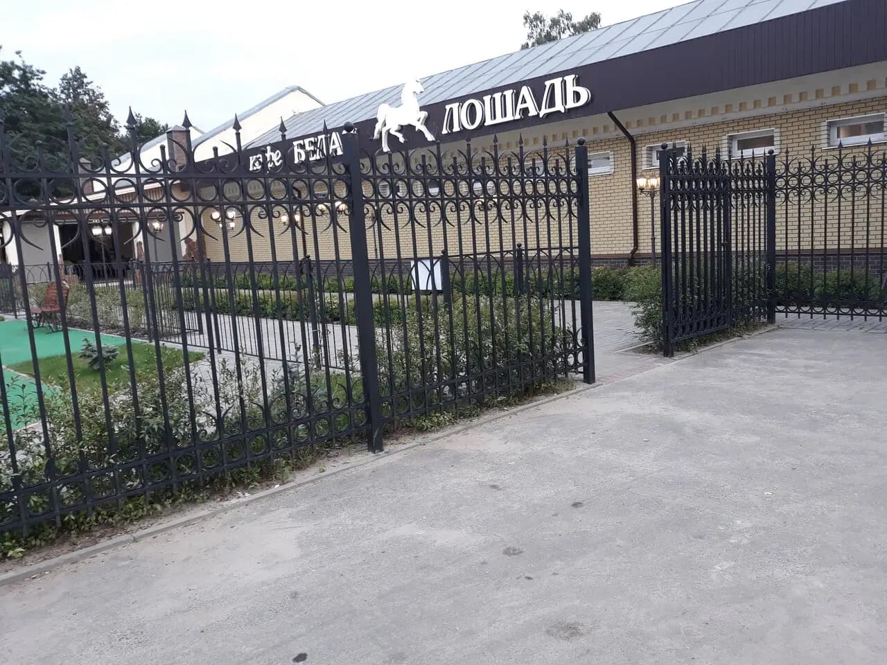 Белая лошадь