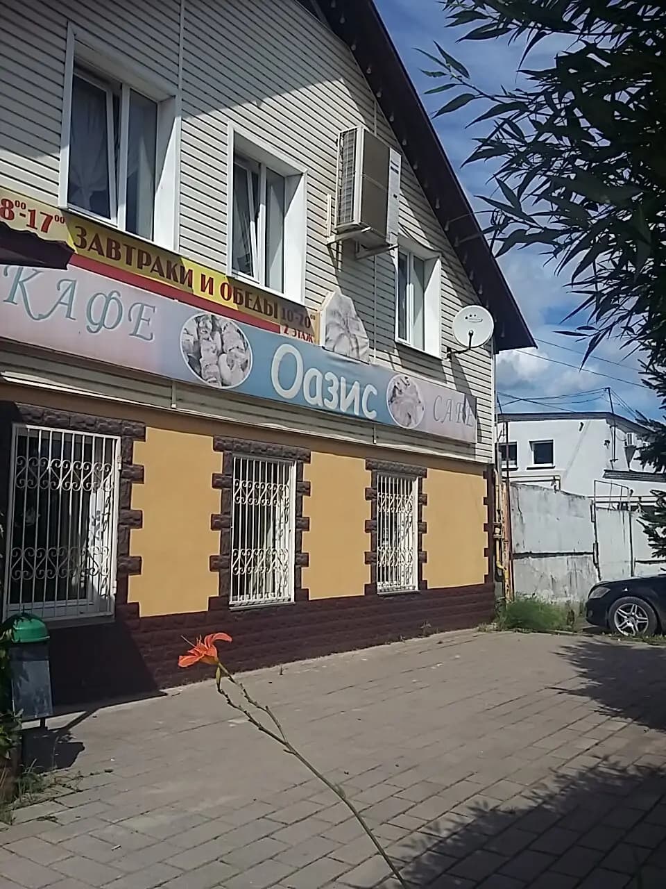 Оазис