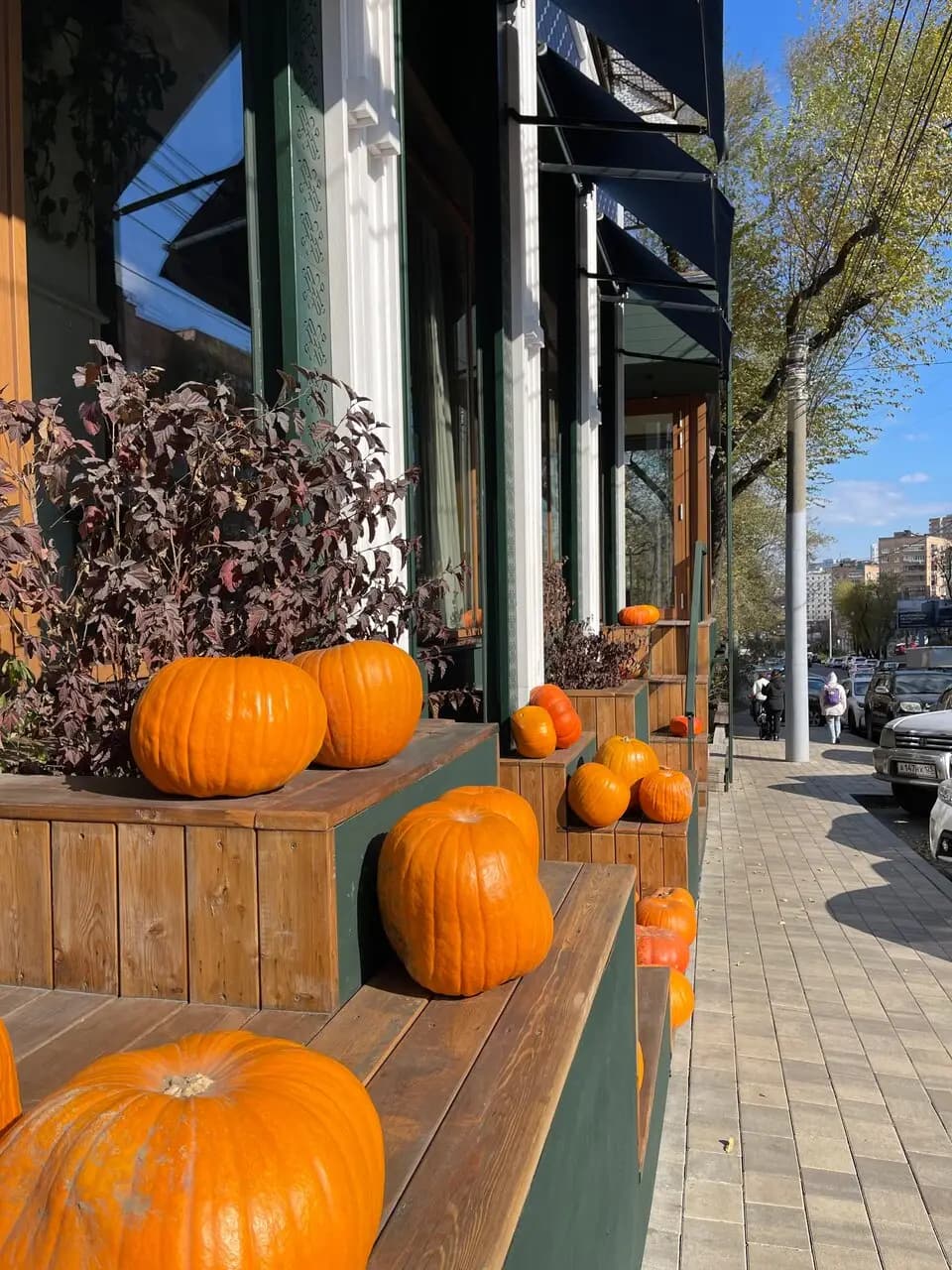 Супра Романи