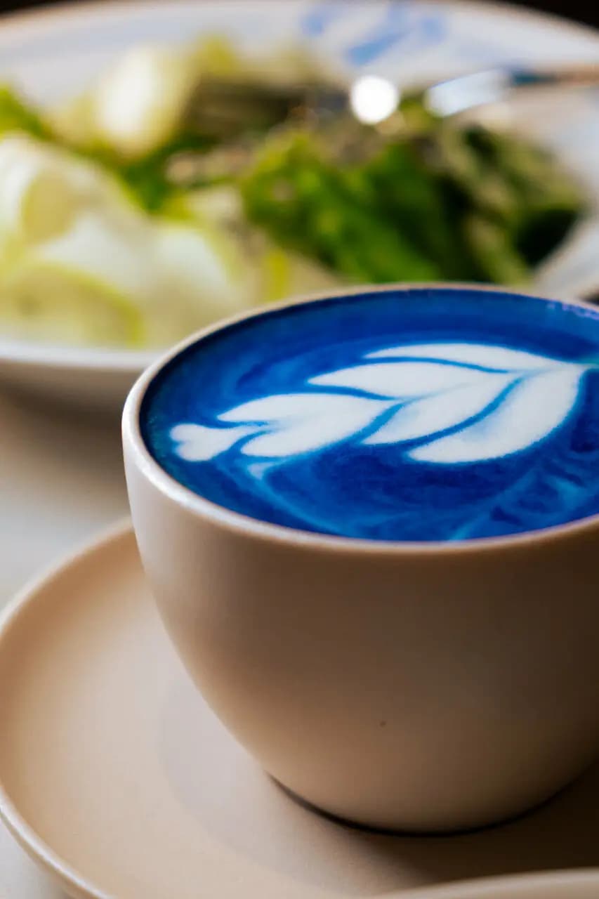 Vento. Osteria&Crudo