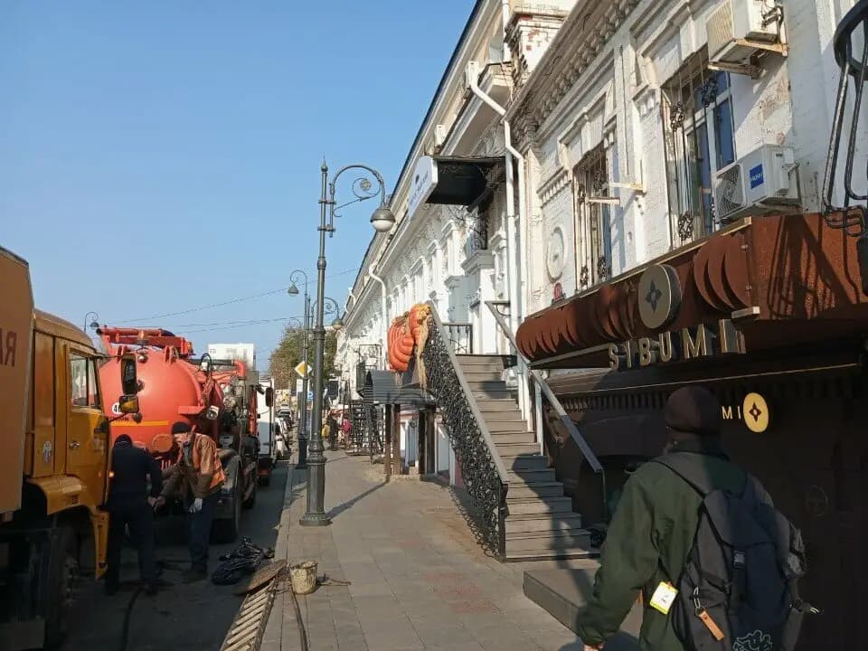 Мускатный Кит