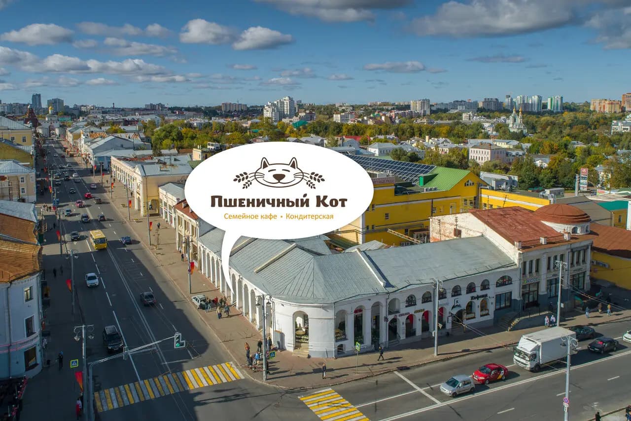 Пшеничный кот