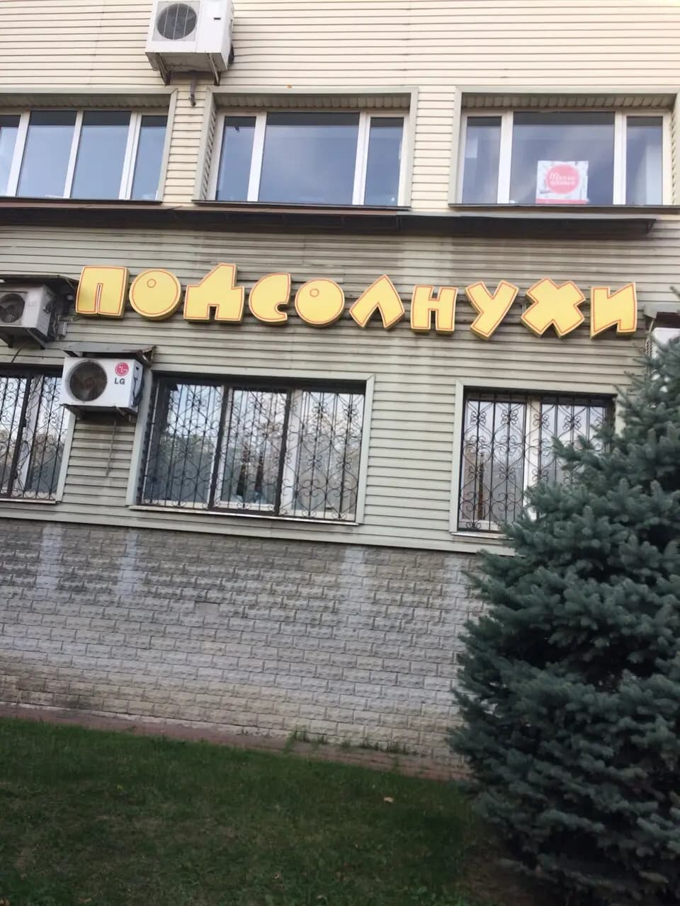 Подсолнухи