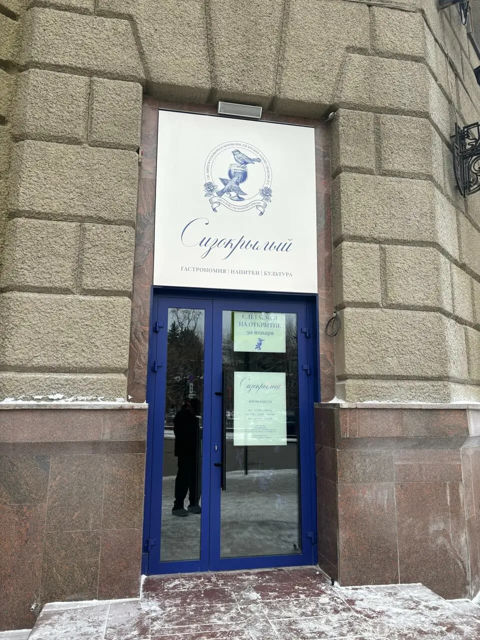 Сизокрылый