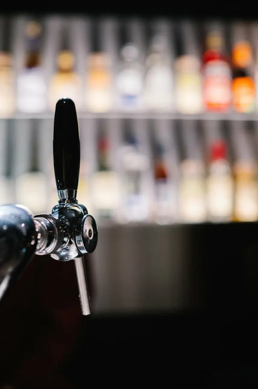 Сизокрылый