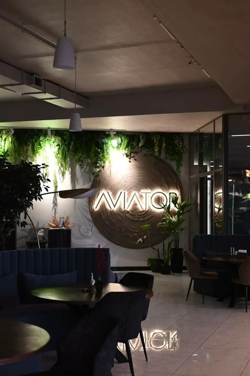 Авиатор-шеф