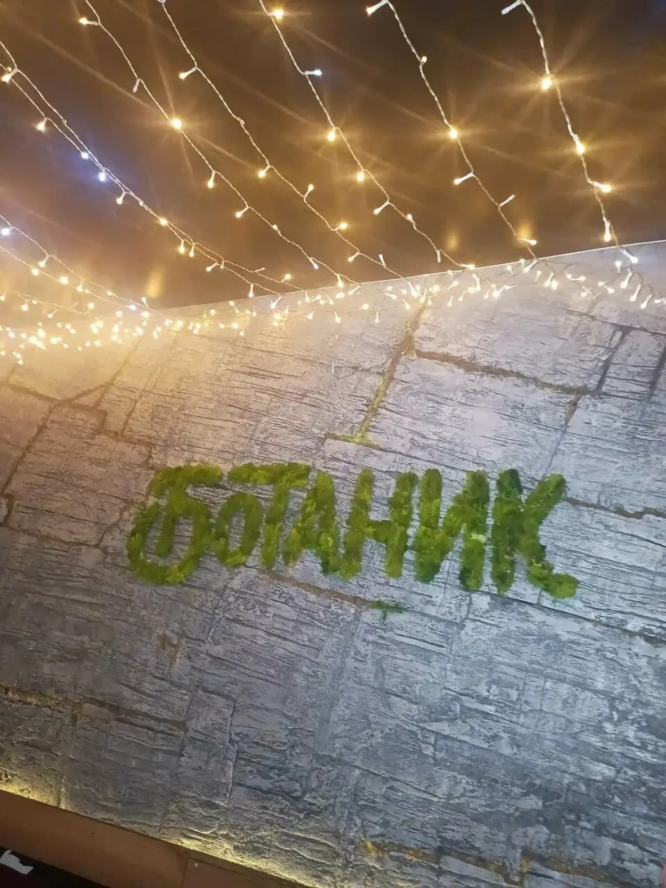 Ботаник Бар-гербарий