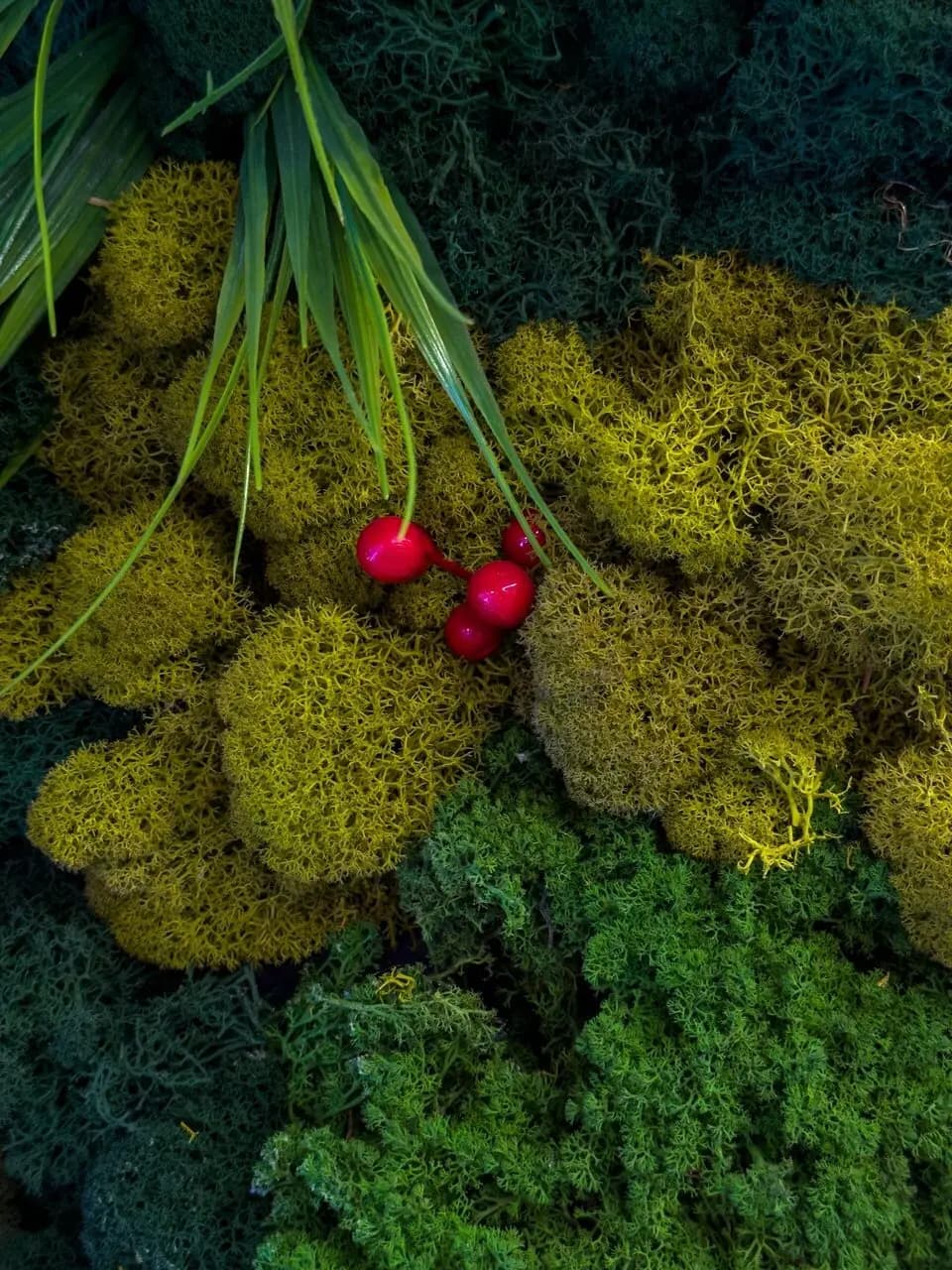 Вкус Севера