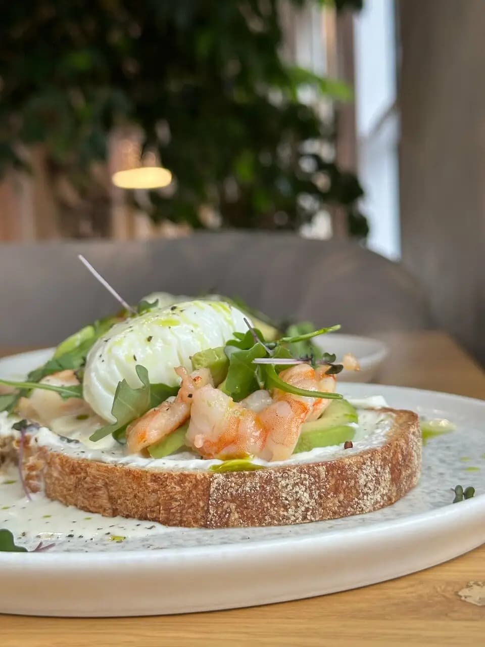 Gagarin Coffee & Kitchen