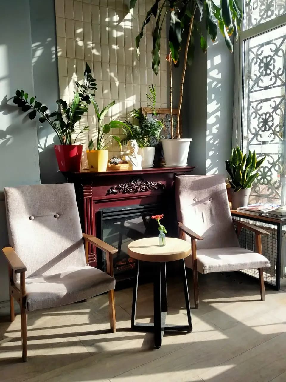 Культура кофе