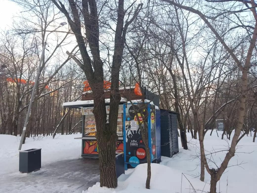 Робин Сдобин