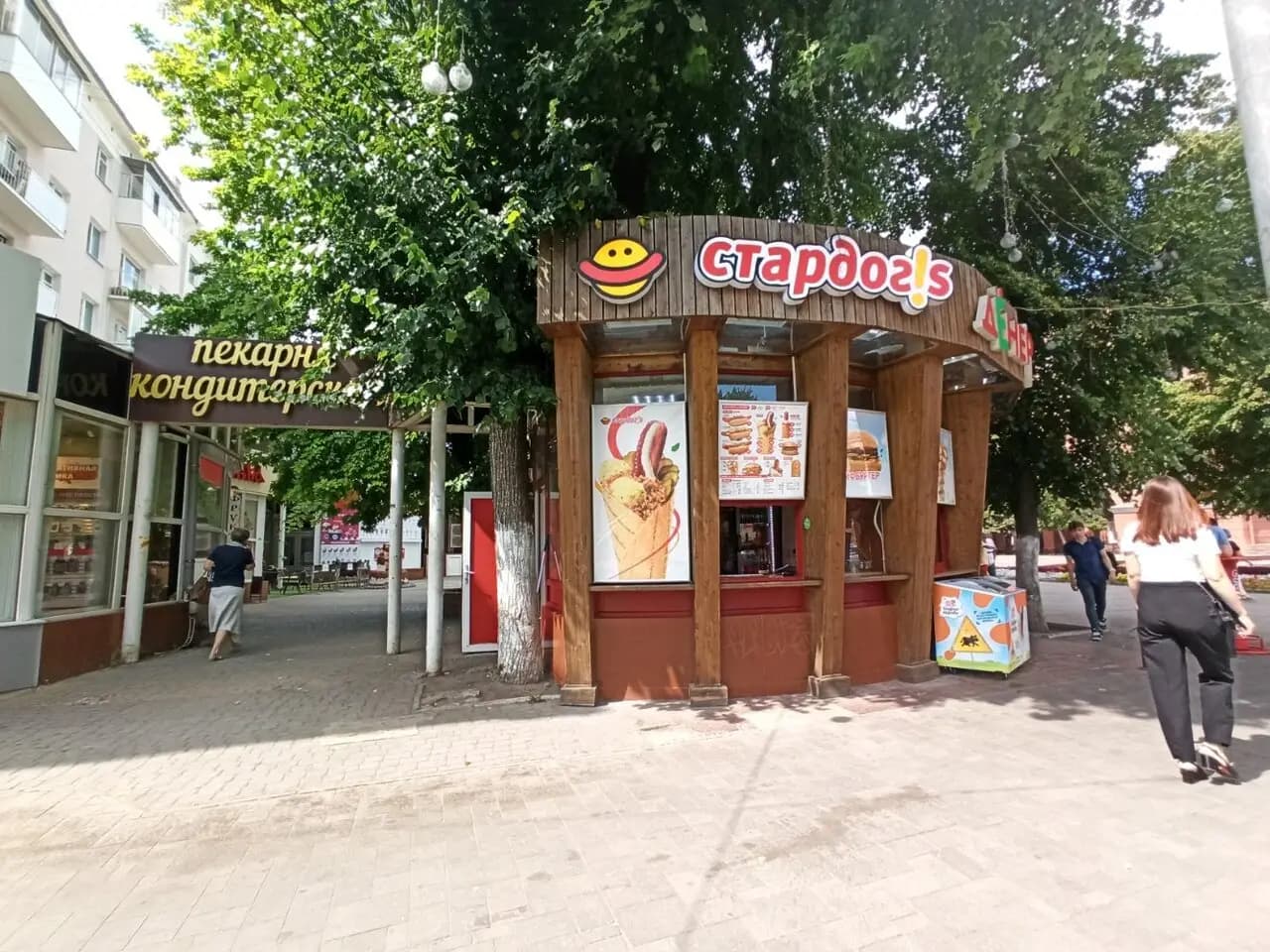 Стардогс