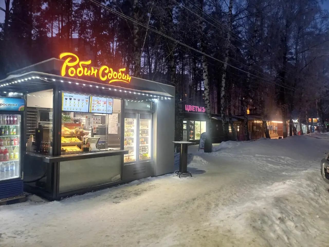 Робин Сдобин