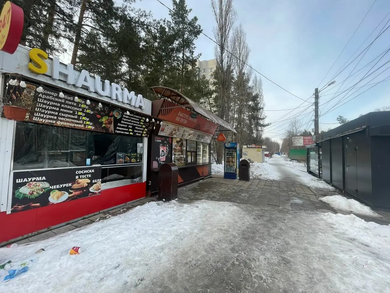 Робин Сдобин