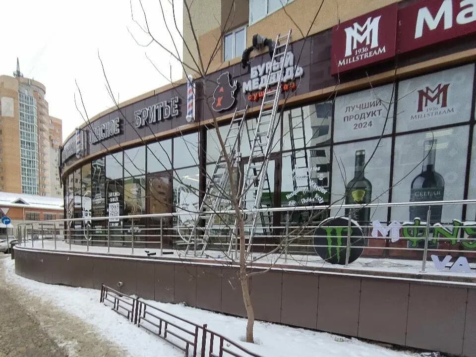 Бурый медведь