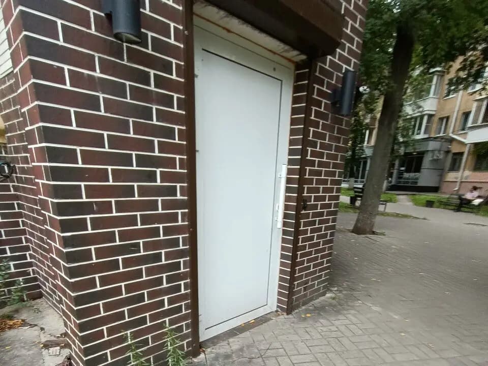 Белая береза