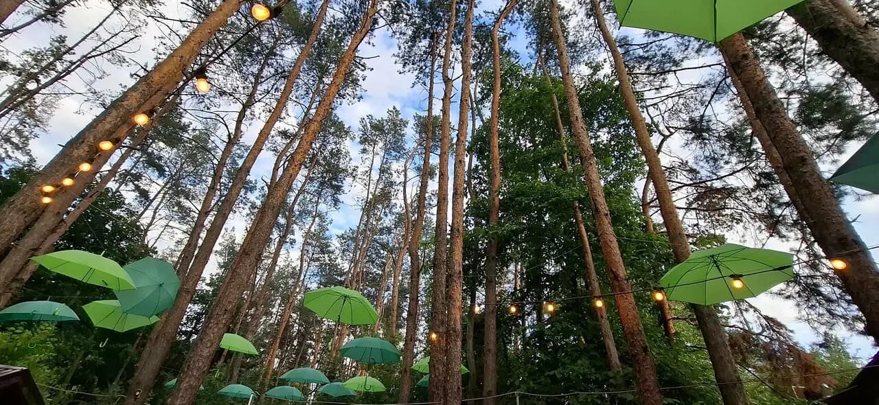 Сосновый бор