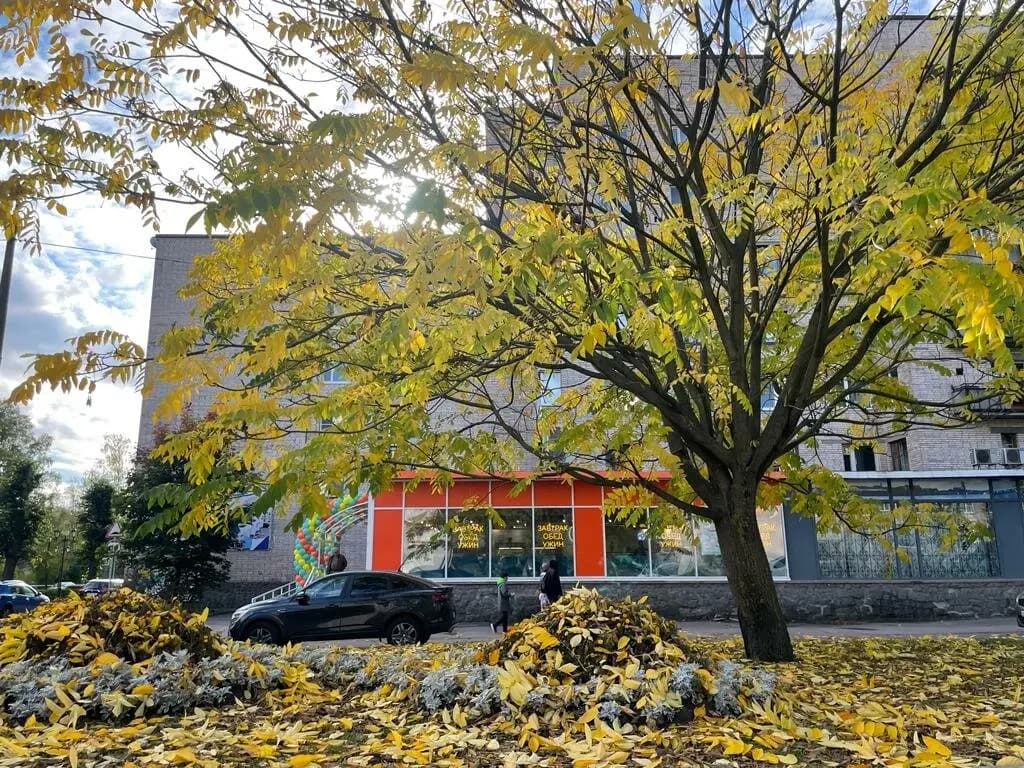 Солнечный день