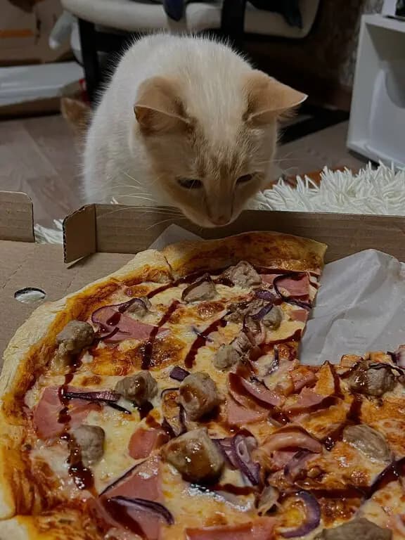 Ух ты Пицца