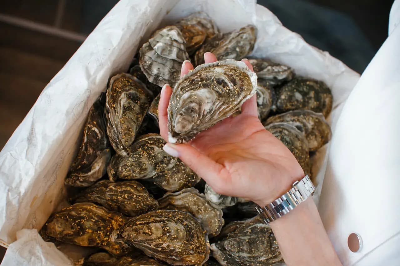 Рони Ойстер