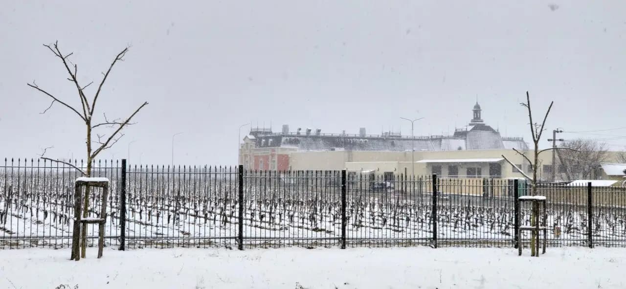 Шато де Талю