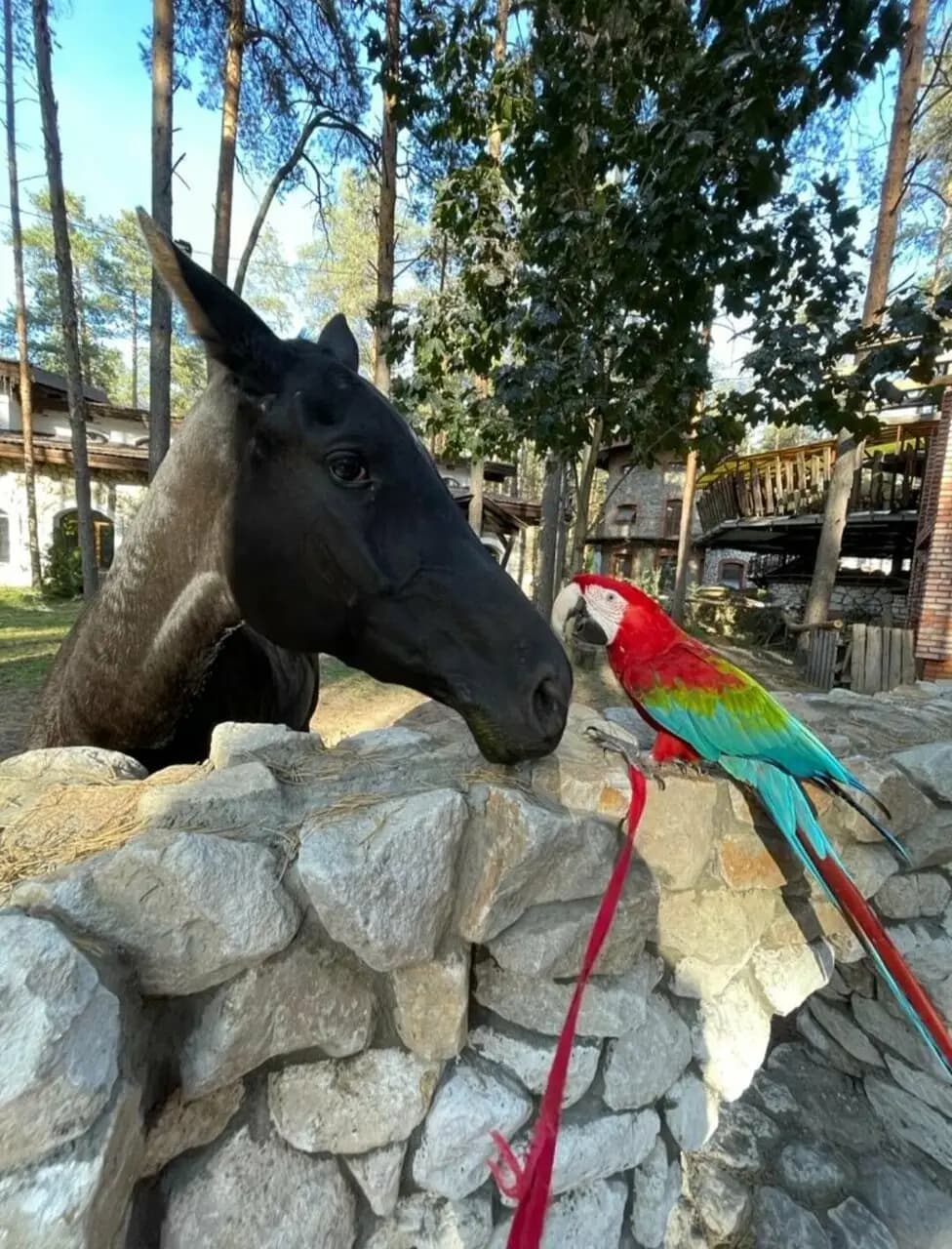 Усадьба Мещёрская