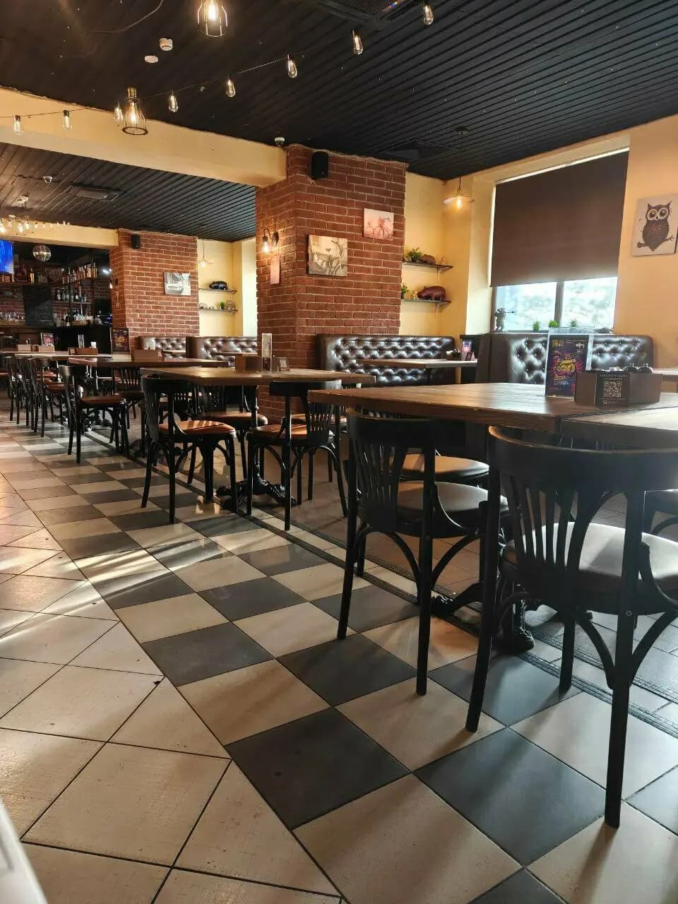 Бегемот и мышь