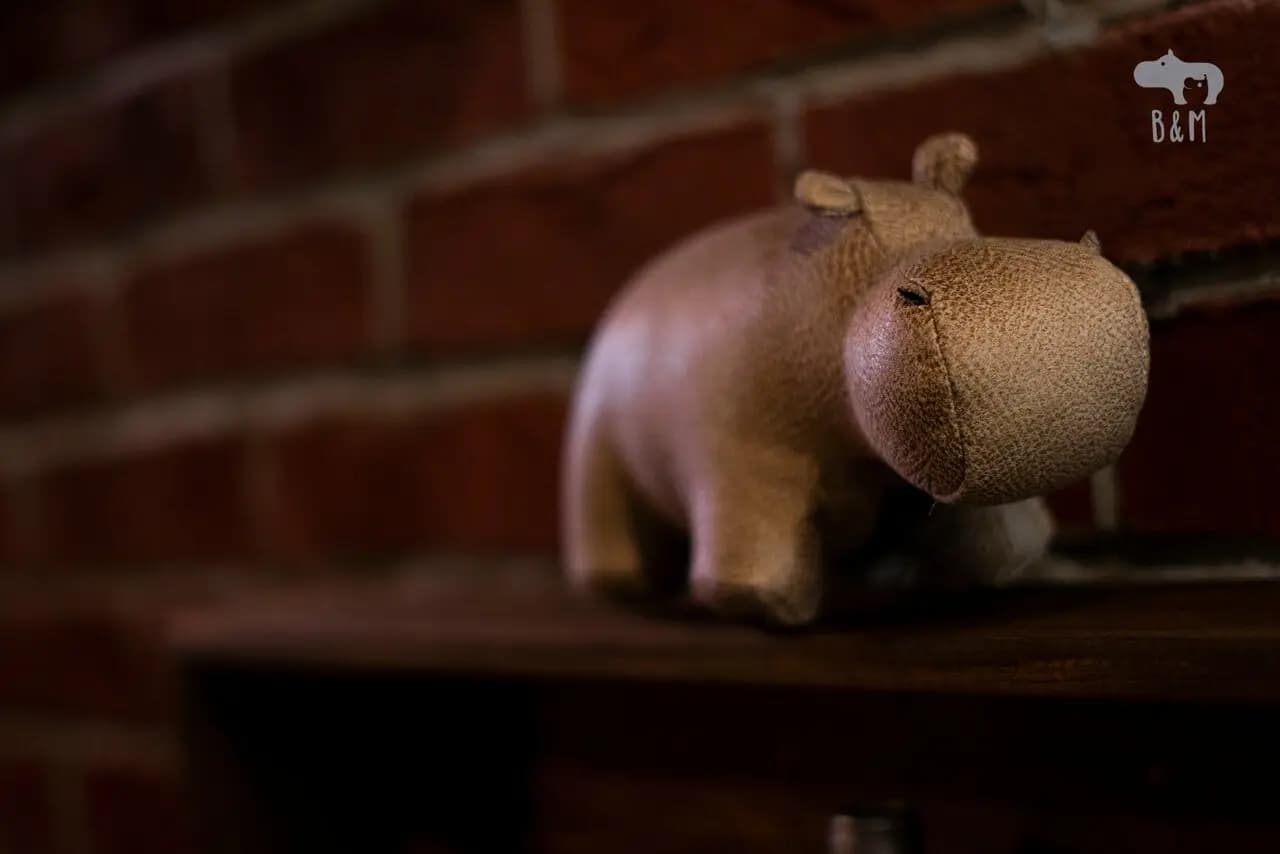 Бегемот и мышь