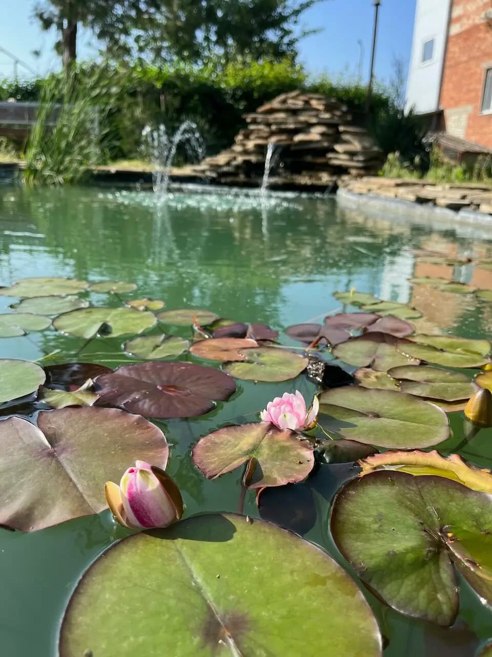 Придорожное