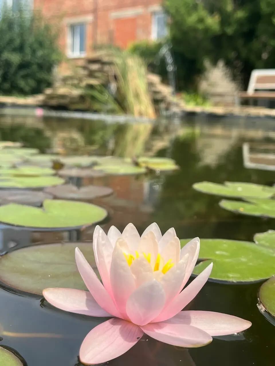 Придорожное