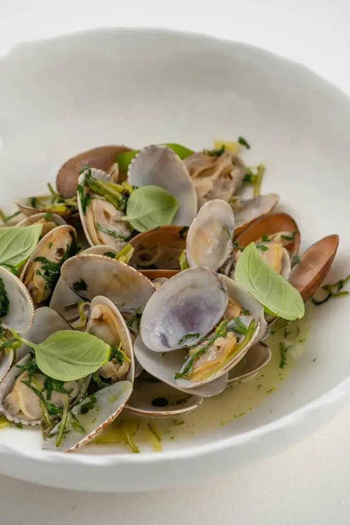 Гады, Крабы и Вино