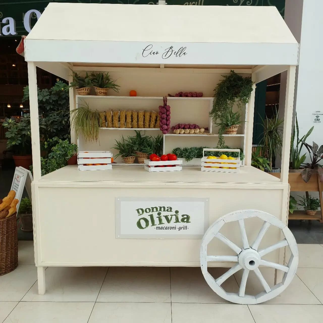 Донна Оливия