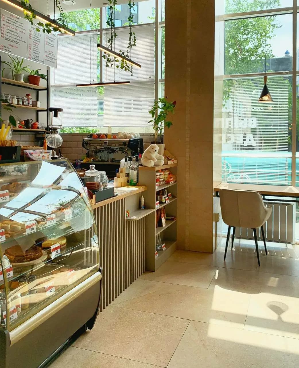 Большая медведица