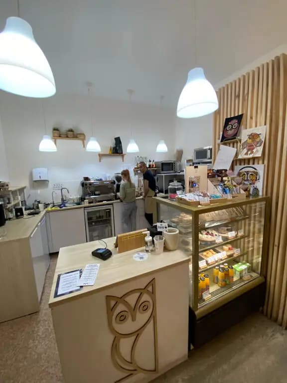 Неспящая сова